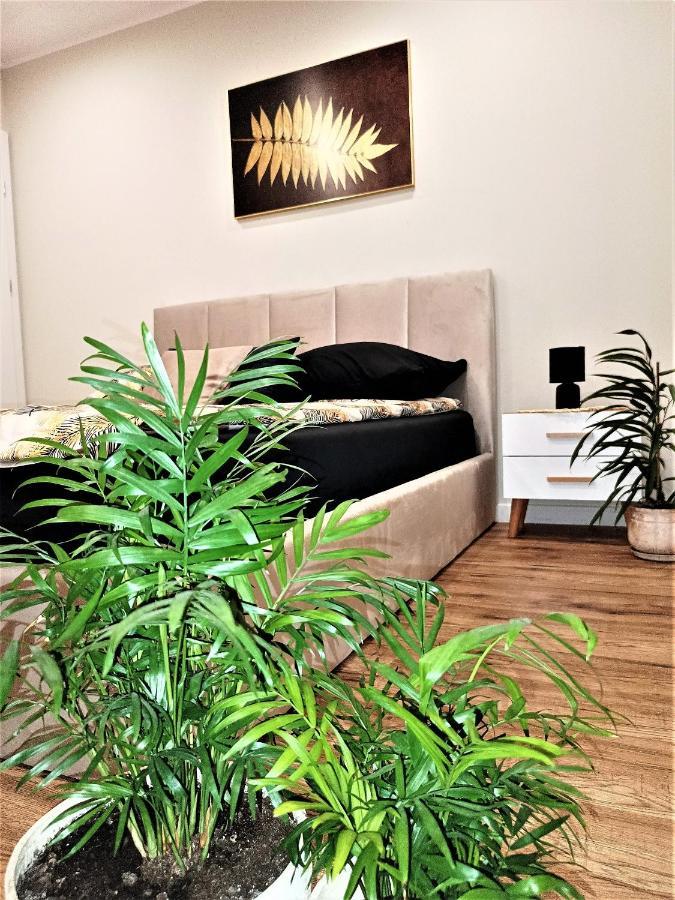 Apartament Przy Kopalni Srebra Tarnowskie Gory Exterior photo